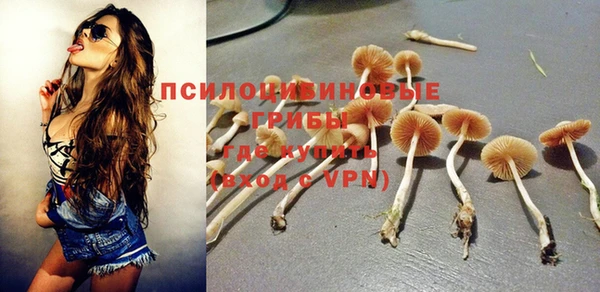 спиды Бугульма