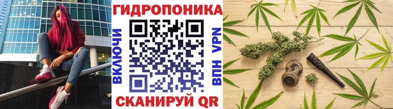 Каннабис планчик  Далматово 